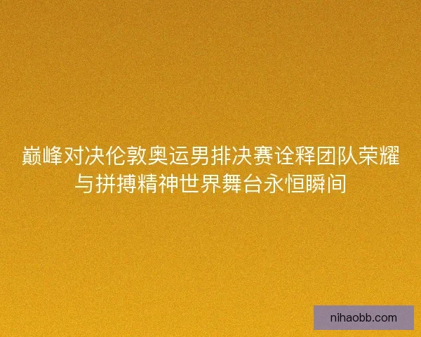 巅峰对决伦敦奥运男排决赛诠释团队荣耀与拼搏精神世界舞台永恒瞬间